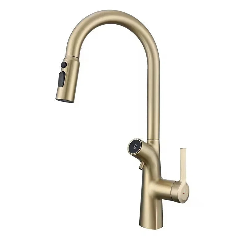 Goldene Küchenarmatur mit ausziehbarer Brause - Ansicht 1