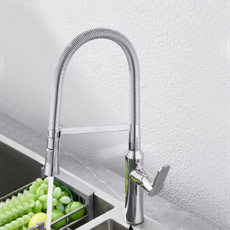 Einhebel Küchenarmatur mit ausziehbarer Brause in Chrom